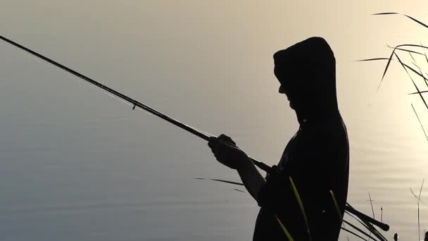 Homem Com Uma Vara Pesca Margem Lago Está Pegando Peixe — Vídeo de Stock