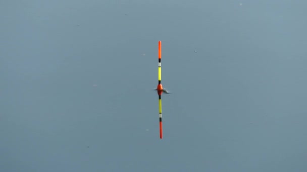 釣りしながら水で釣り竿用のフロート 魚をかむ水信号でフロート — ストック動画