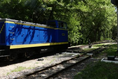 Kiev, Ukrayna - 19 Mayıs 2018: Lokomotif ormanın ortasında demiryolu parça boyunca seyahat.