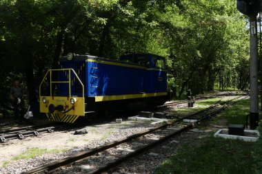 Kiev, Ukrayna - 19 Mayıs 2018: Lokomotif ormanın ortasında demiryolu parça boyunca seyahat.
