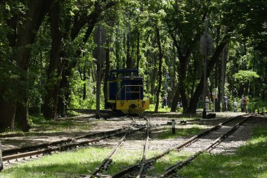 Kiev, Ukrayna - 19 Mayıs 2018: Lokomotif ormanın ortasında demiryolu parça boyunca seyahat.