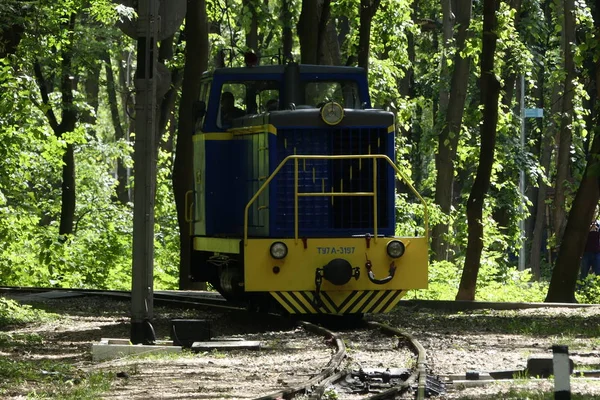 Kiev, Ukrayna - 19 Mayıs 2018: Lokomotif ormanın ortasında demiryolu parça boyunca seyahat.