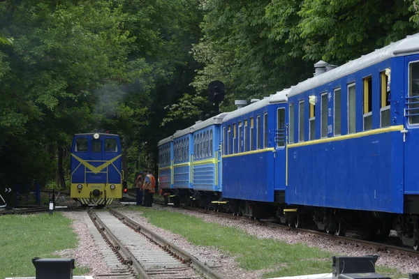 Kiev, Ukrayna - 19 Mayıs 2018: Lokomotif Binek araba kullanıyor. Oyuncak tren. Tren. Lokomotif bir dar hat demiryolu gidiyor.