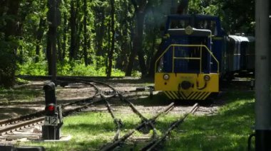 Kiev, Ukrayna - 19 Mayıs 2018: Lokomotif ormanın ortasında demiryolu parça boyunca seyahat.