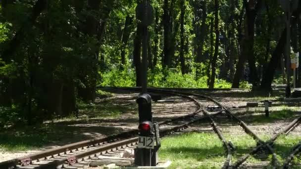 Kiev Ucrania Mayo 2018 Ferrocarriles Semáforo Rojo Bosque — Vídeos de Stock