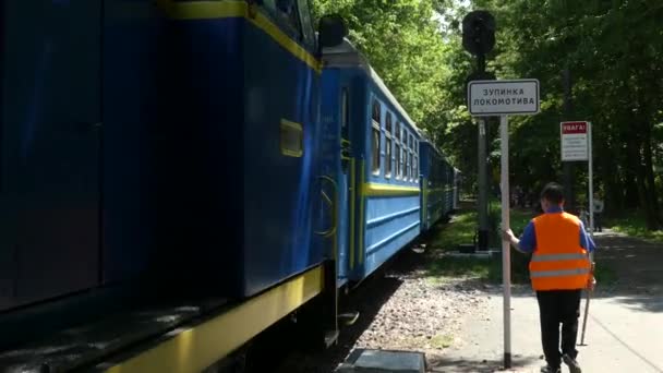 乌克兰基辅 2018年5月19日 火车头正沿着森林中央的铁轨行驶 — 图库视频影像