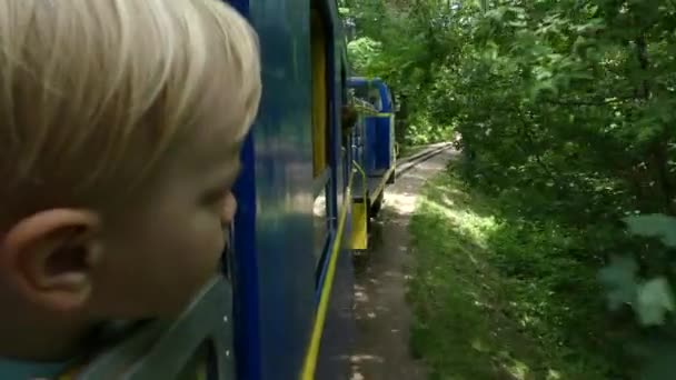 キエフ ウクライナ 2018 子供は走行列車の窓の外に見えます 列車の乗客は窓の外見てください 列車は森に行く — ストック動画