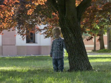 Prag, Çek Cumhuriyeti - 7 Mayıs 2018: Bahçede bir ağaç yakınındaki iki yaşında bir çocuk duruyor. Yakınındaki bir ağaç bahçe çim üzerinde sarışın bir çocuk duruyor.
