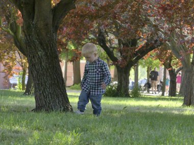 Prag, Çek Cumhuriyeti - 7 Mayıs 2018: Bahçede bir ağaç yakınındaki iki yaşında bir çocuk duruyor. Yakınındaki bir ağaç bahçe çim üzerinde sarışın bir çocuk duruyor.