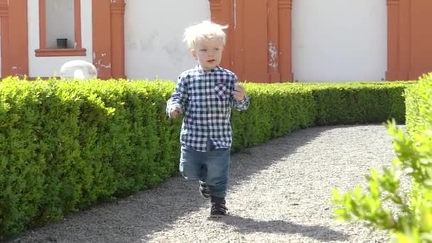 プラハ チェコ共和国 2018 年の少年が公園の庭で遊んでいます 金髪の少年は 庭の周りに実行されます スローモーション — ストック動画
