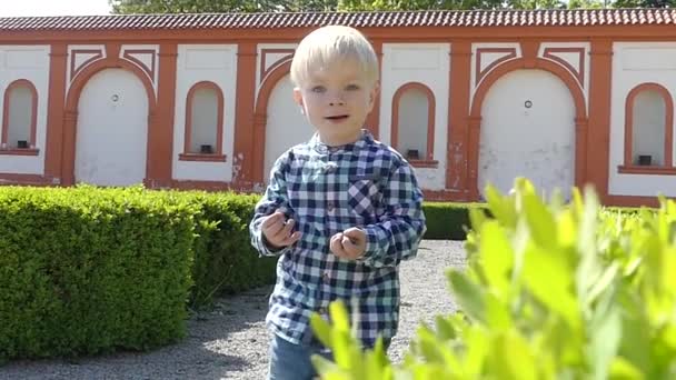 Prag Tjeckien Maj 2018 Spelar Pojke Två Trädgården Parken Blond — Stockvideo