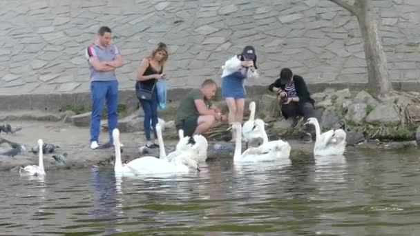 Praga República Checa Maio 2018 Esplêndido Tiro Vários Turistas Alimentando — Vídeo de Stock