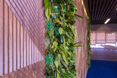 İç modern bir ofis. Mobilya şirket ofisinde. Müzakere Oda duvarında canlı bitkiler.