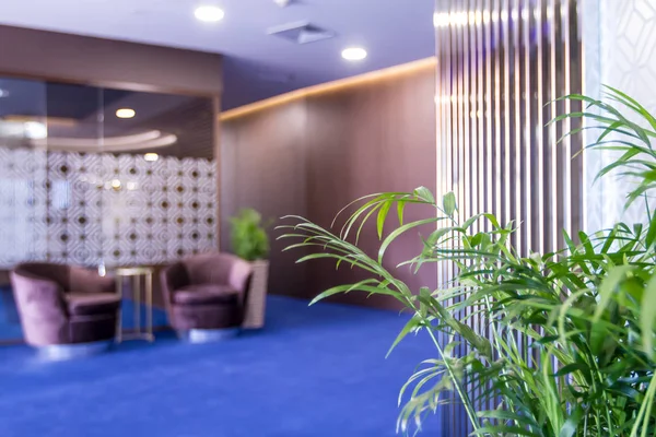 İç modern bir ofis. Şirket ofis mobilya.