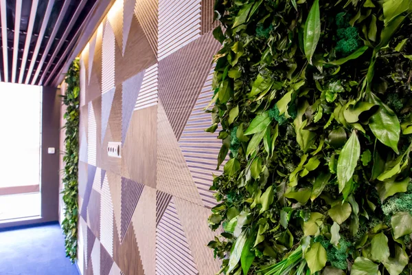 İç modern bir ofis. Mobilya şirket ofisinde. Müzakere Oda duvarında canlı bitkiler.