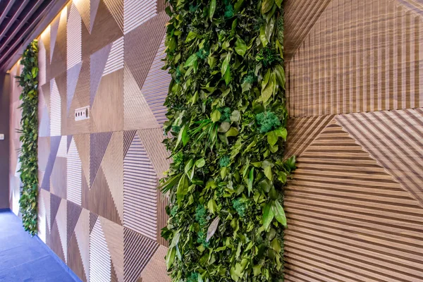 İç modern bir ofis. Mobilya şirket ofisinde. Müzakere Oda duvarında canlı bitkiler.