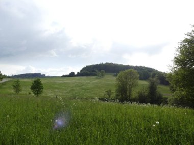 Cesky Krumlov, Çek Cumhuriyeti - 9 Mayıs 2018: el değmemiş doğal bir alan. Bir görünüm ağaç ve ot Temizleme. Dağ orman. Glade yeşillik ile.