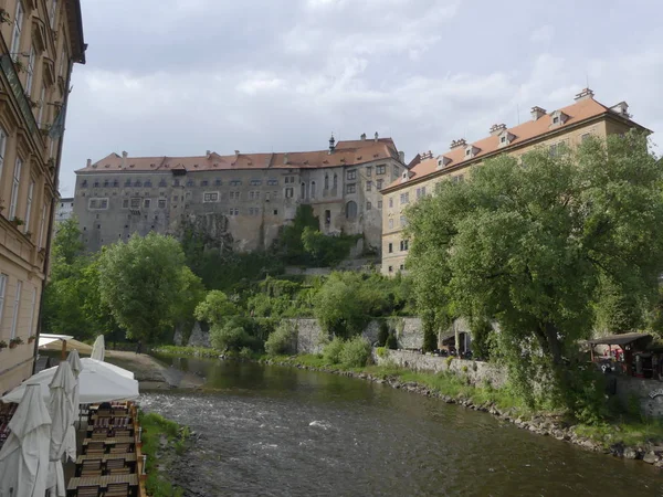 Prague République Tchèque Mai 2018 Loutre Flotte Dans Rivière Prague — Photo