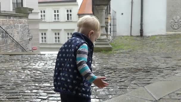 チェスキー クルムロフ チェコ共和国 2018 歳の男の子が雨の中で遊んでいます 濡れた敷石の背景をやっている少年 — ストック動画