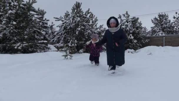 快乐的女孩在雪中运行在背景山寨和汽车 在一个松树树枝的框架 — 图库视频影像