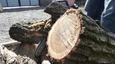 Kiev, Ukrayna-Mart 2019: bahar sakallı adam testere. Bir adam baharda evi ısıtmak için odun hazırlar.