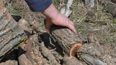 Kiev, Ukrayna-Mart 2019: bahar sakallı adam testere. Bir adam baharda evi ısıtmak için odun hazırlar.