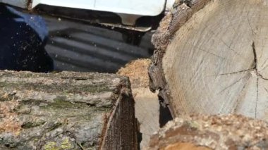 Kiev, Ukrayna-Mart 2019: bahar sakallı adam testere. Bir adam baharda evi ısıtmak için odun hazırlar.