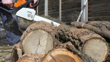 Kiev, Ukrayna-Mart 2019: bahar sakallı adam testere. Bir adam baharda evi ısıtmak için odun hazırlar.