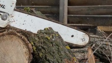 Kiev, Ukrayna-Mart 2019: bahar sakallı adam testere. Bir adam baharda evi ısıtmak için odun hazırlar.