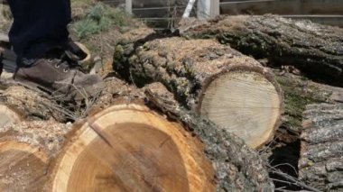 Kiev, Ukrayna-Mart 2019: bahar sakallı adam testere. Bir adam baharda evi ısıtmak için odun hazırlar.