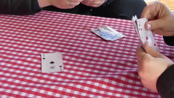 Kiew Ukraine März 2019 Mädchen Spielen Glücksspiel Einer Holzlaube Spielkarten — Stockvideo