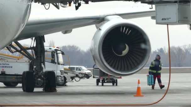 Borispol Ucrania Marzo 2019 Aeropuerto Internacional Borispol Ucrania Avión Pista — Vídeo de stock