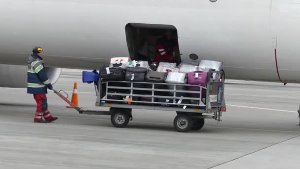 Kiev Oekraïne 2019 Maart Medewerkers Van Luchthaven Laden Bagage Van — Stockvideo