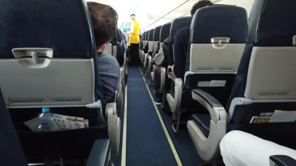 Kopenhaga Dania Marzec 2019 Stewardesa Stewart Dostarczają Pasażerom Pokładzie Samolotu — Wideo stockowe