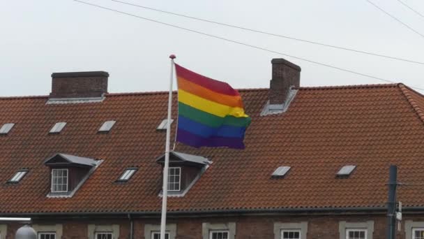 Copenagen Danimarca Marzo 2019 Bandiera Arcobaleno Nel Centro Della Città — Video Stock