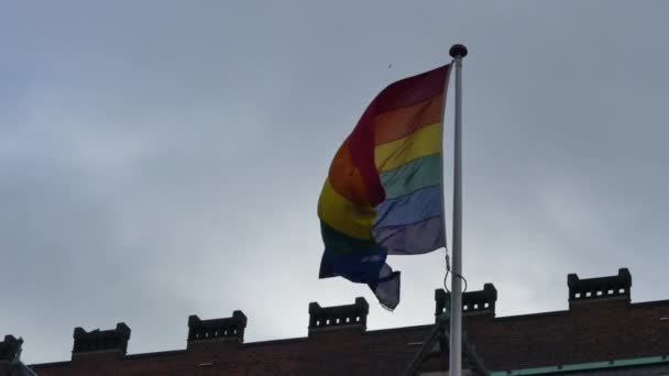 哥本哈根 2019年3月 彩虹旗在市中心 彩虹旗 Lgbt 在风中飘扬 — 图库视频影像