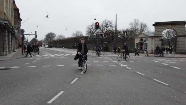Kopenhag Danimarka Mart 2019 Bisikletçiler Şehirde Bir Bisiklet Yolu Binmek — Stok video