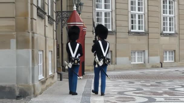 Kopenhagen Denemarken Maart 2019 Bewaker Van Eer Het Koninklijk Paleis — Stockvideo