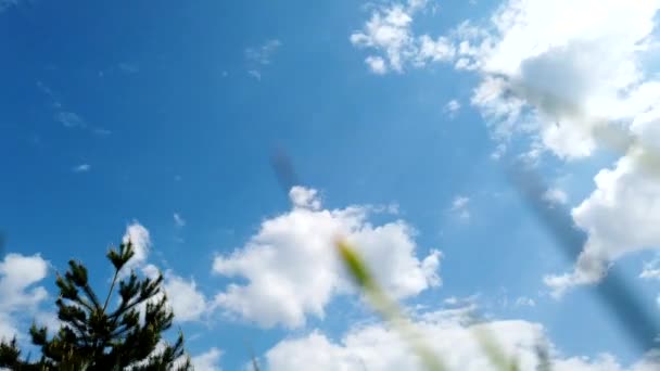 Громові Хмари Змінюють Блакитне Небо Хмари Пливуть Небу Хмари Пливуть — стокове відео