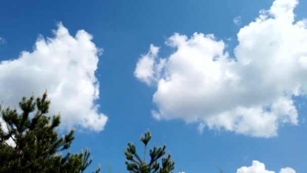 Σύννεφα Της Καταιγίδας Αλλάζουν Τον Γαλάζιο Ουρανό Σύννεφα Επιπλέουν Στον — Αρχείο Βίντεο