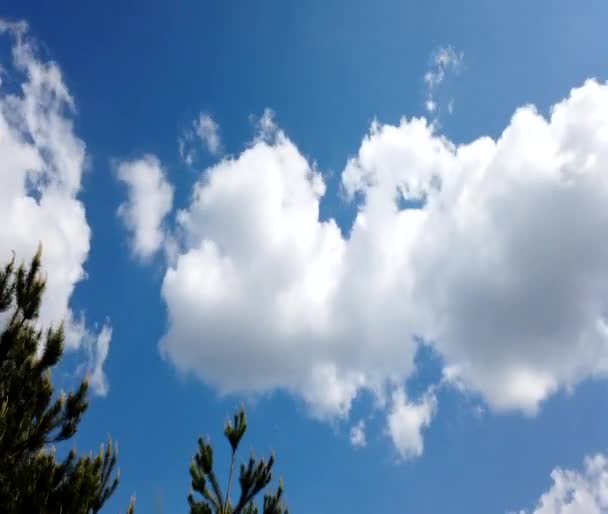 Thunderclouds Förändras Blå Himmel Molnen Flyter Över Himlen Molnen Flyter — Stockvideo