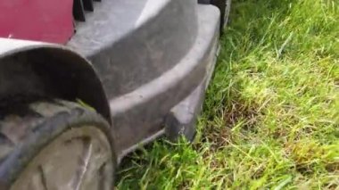 Bir adam dacha'daki çimleri biçiyor. Çim biçme makinesi dacha'daki çimleri keser..