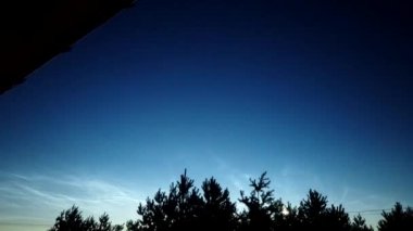 Bulutlar arka planda çam ormanı. Zaman atlamalı.