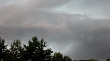 Bulutlar arka planda çam ormanı. Zaman atlamalı.