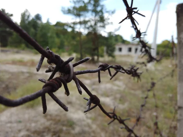Barbed wire on an old fence. Restricted area.
