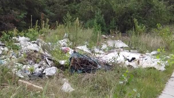 Une Montagne Ordures Dans Forêt Déchets Industriels Sur Les Arbres — Video