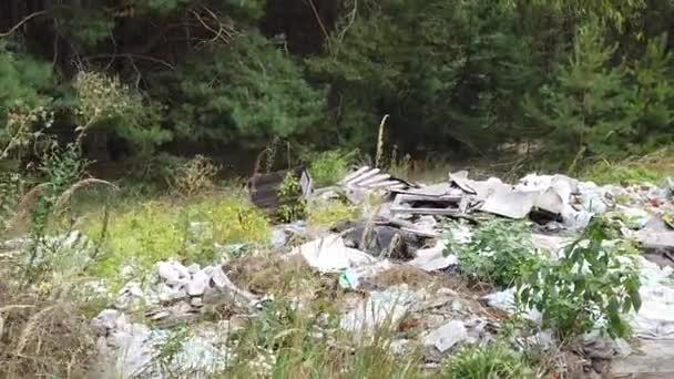 Vuilnisberg Het Bos Industrieel Afval Bomen — Stockvideo