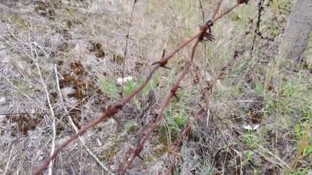 Alambre Púas Una Vieja Cerca Zona Restringida — Vídeo de stock