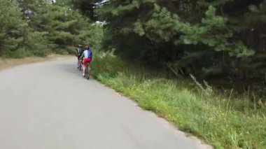 Kiev, Ukrayna, Avrupa - Ağustos 2019: Orman yolunda bisiklet sürmek. Ormanda bir bisikletçi bir yolda gidiyor. Ormanda bisiklet turu.