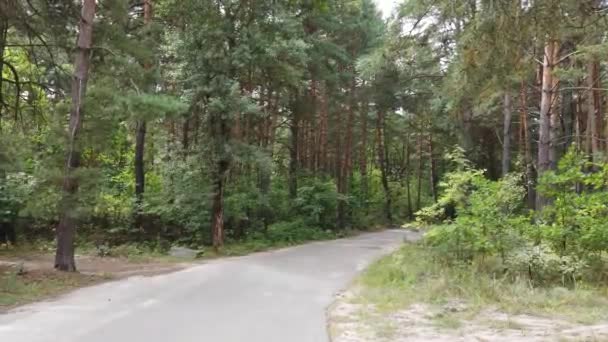 Kiev Ucrânia Europa Agosto 2019 Passeio Bicicleta Uma Estrada Florestal — Vídeo de Stock